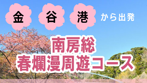 金谷港から出発南房総満喫コース